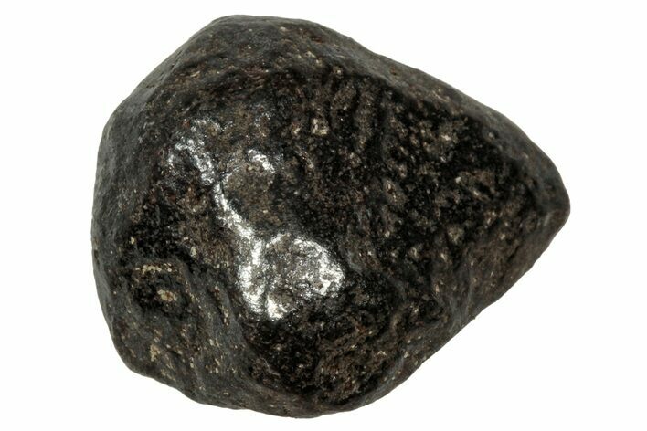 Gibeon Iron Meteorite ( g) - Namibia #334710